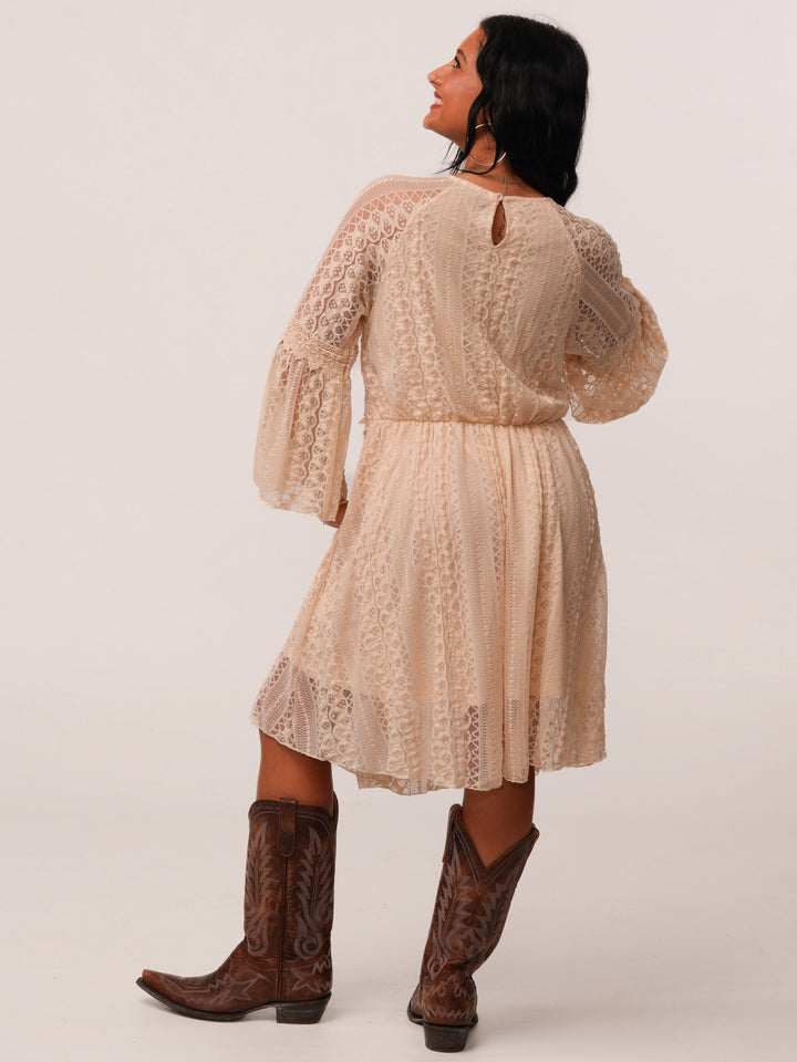 Lace Long Sleeve Dress
