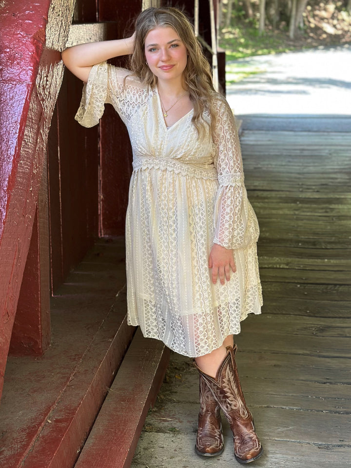 Lace Long Sleeve Dress