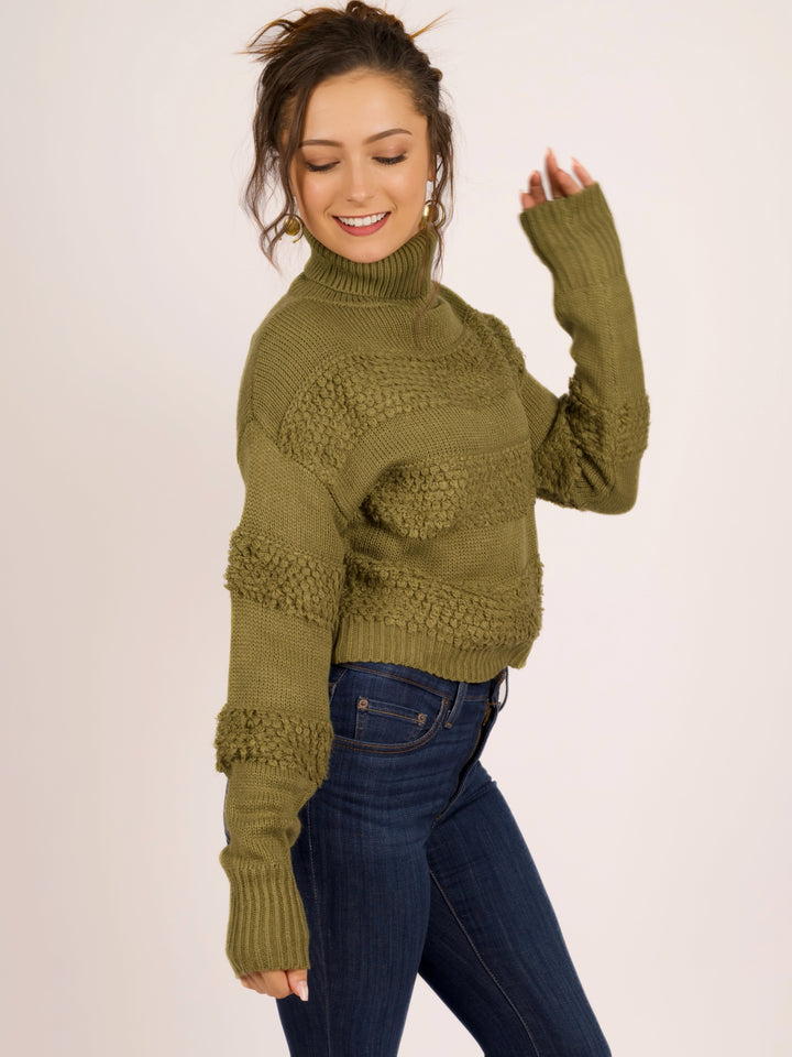 Cozy Chic Turtleneck Sweater