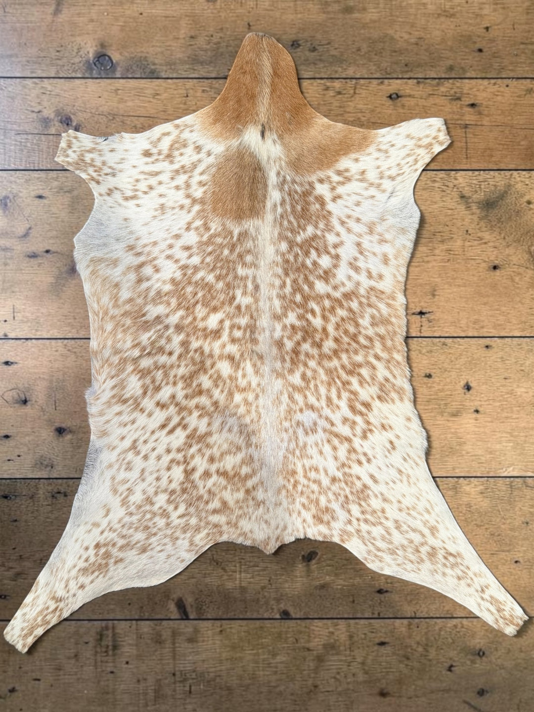 Premium Goatskin Hide Rug
