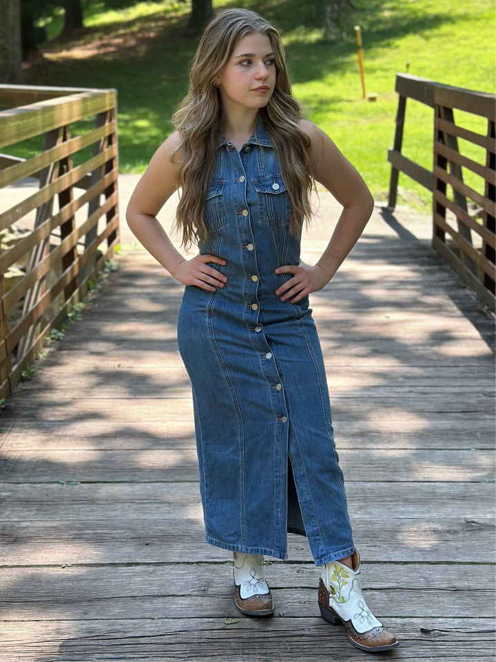 Julia Denim Dress