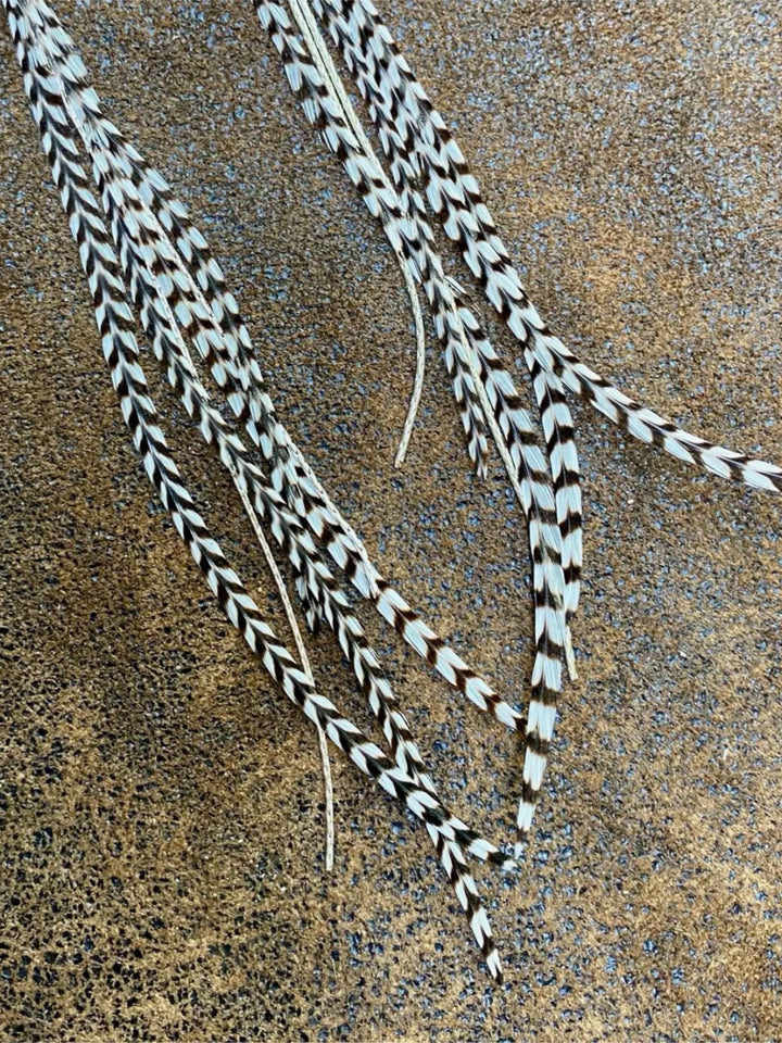 Silver Mini Feather & Turquoise Dangle Earrings