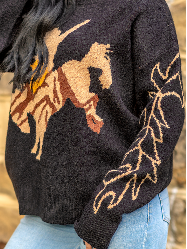 Rodeo Crewneck Sweater