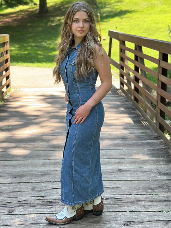 Julia Denim Dress