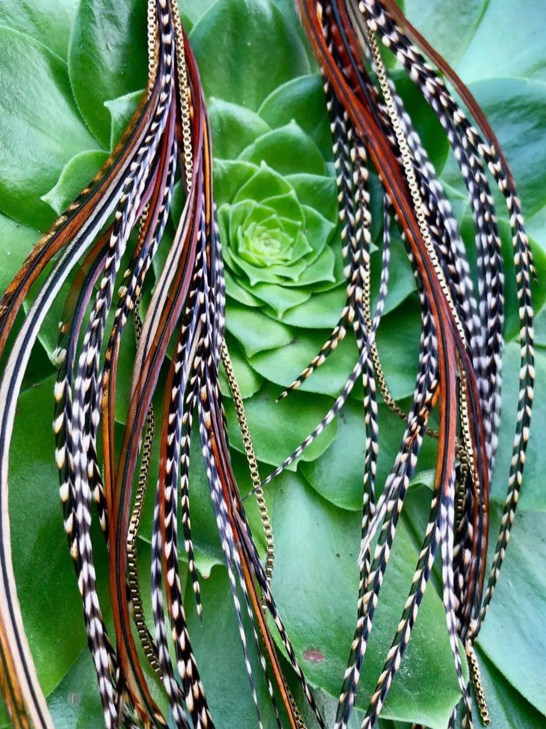 Extra Long  Fawn & Grizzly Feather Earrings