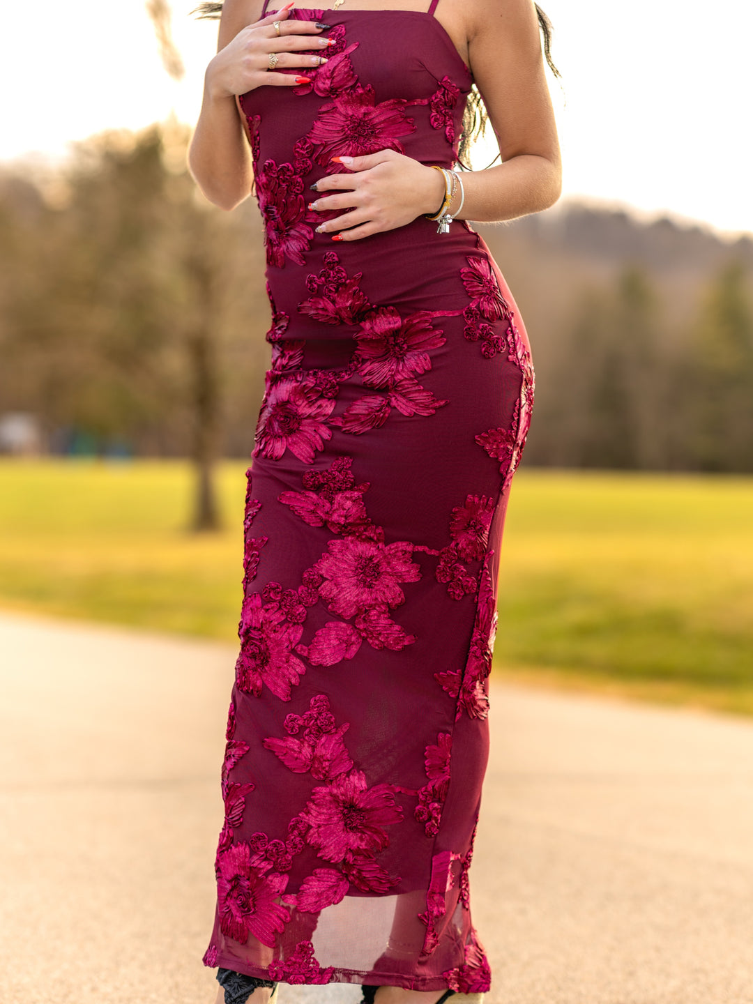 Fresh Cut Floral Embroidered Mesh Maxi Dress