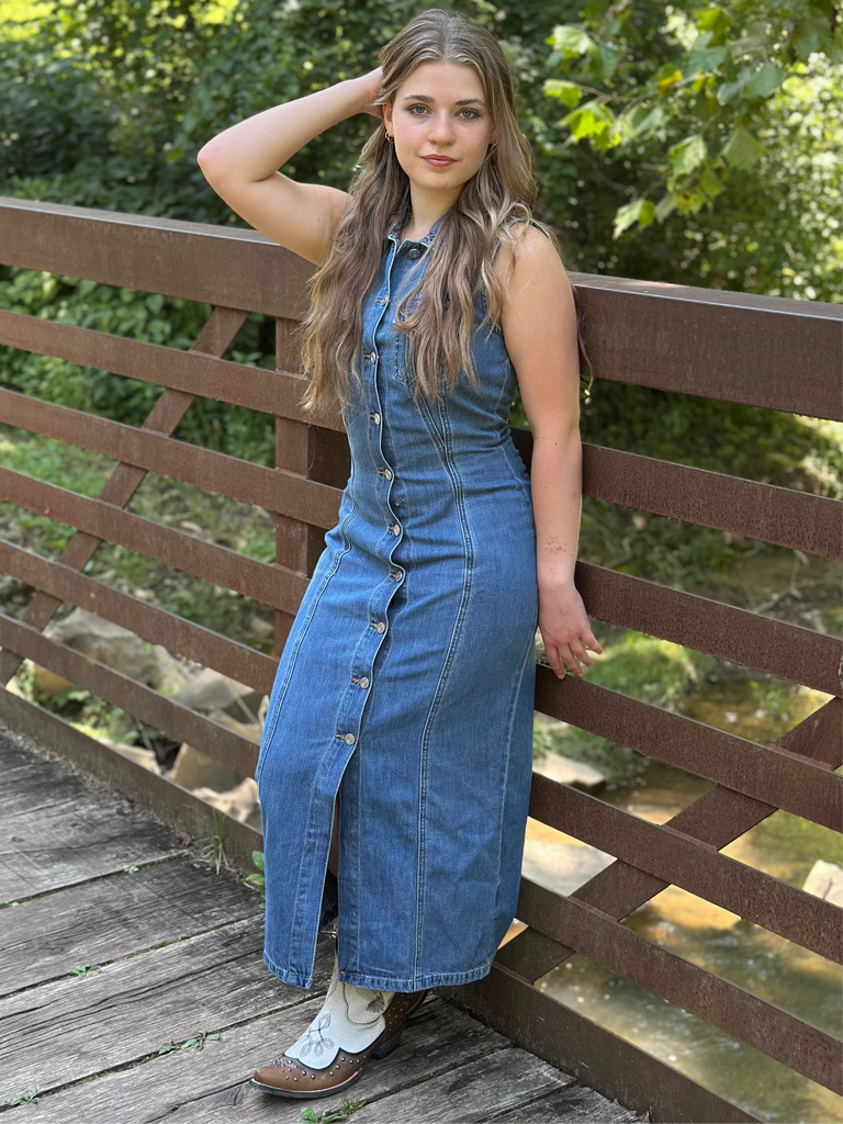 Julia Denim Dress Large Julia Denim Dress Large