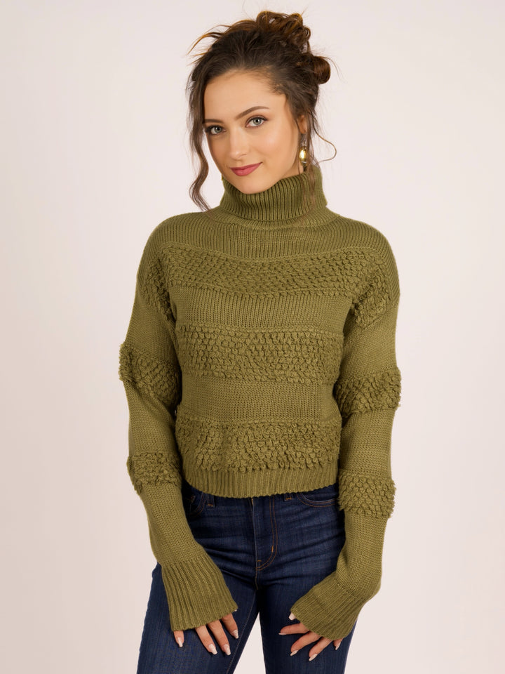 Cozy Chic Turtleneck Sweater