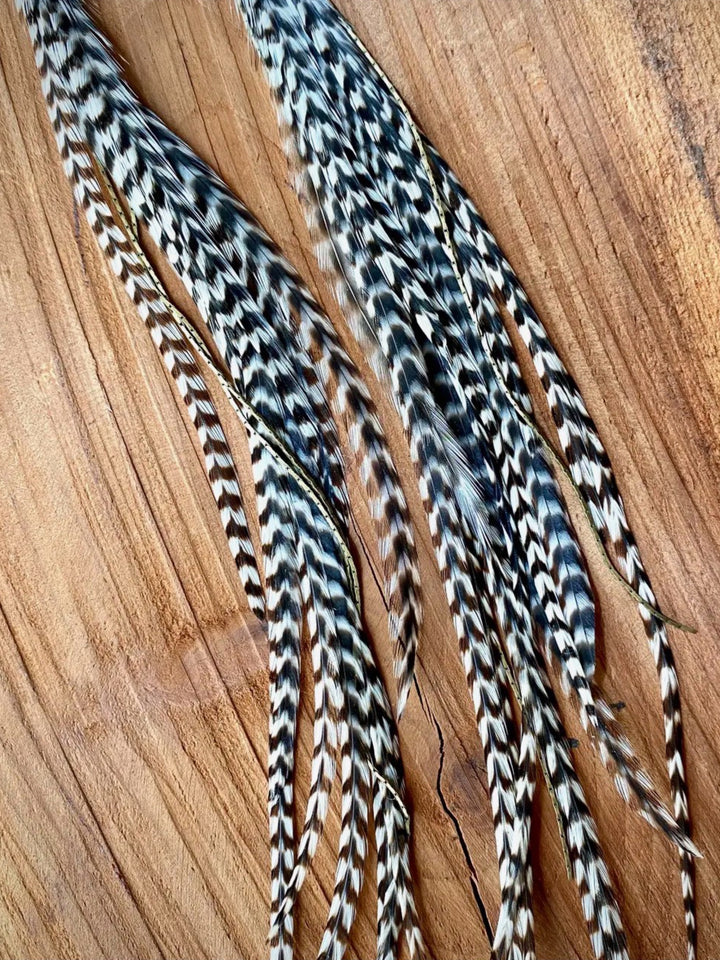 Turquoise Stone & Grizzly Long Feather Earrings