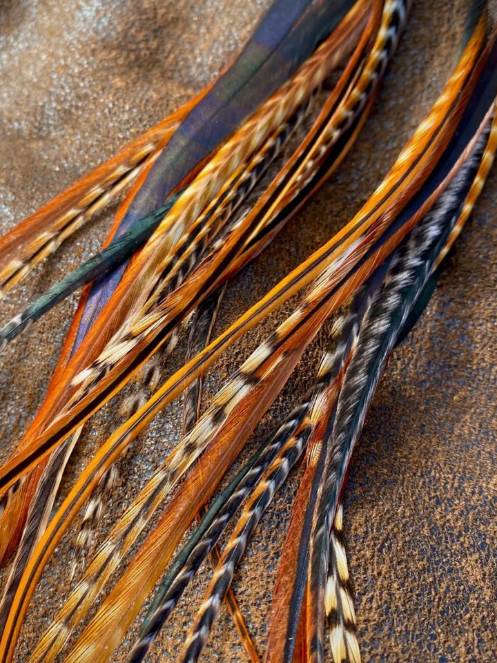 Dramatic Coque Long Feather Dangle Earrings